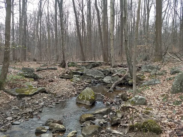 French Creek Cabin 2