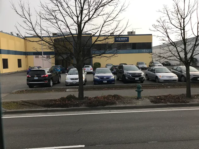 Kerry Ingredients & Flavours