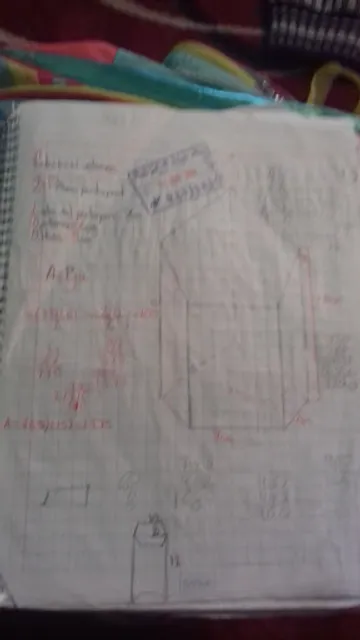 Carnitas y Huesitos SINAI