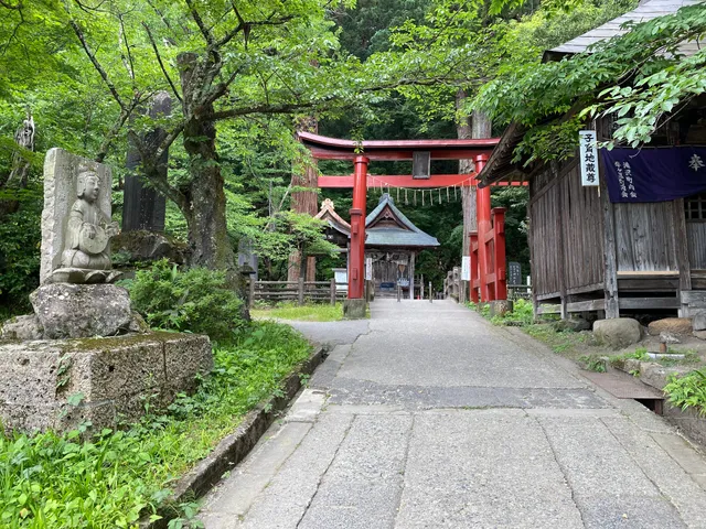 photo-1