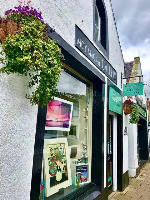 Moy Mackay Gallery