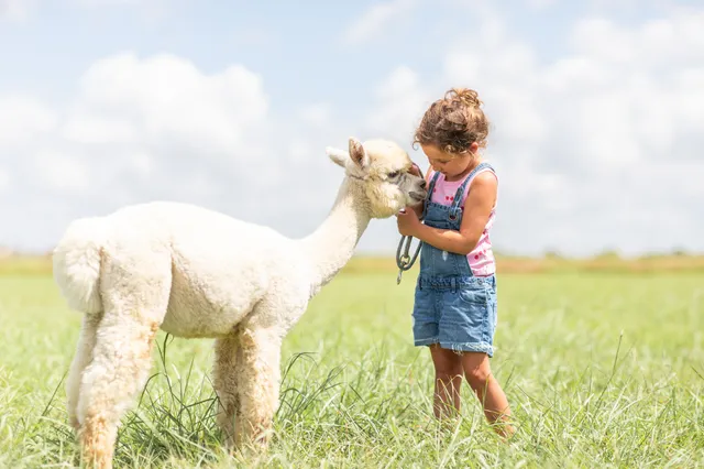 Fragile Planet Wildlife Park