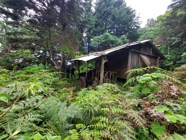 place image