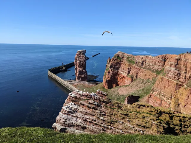 Lummenfelsen der Insel Helgoland