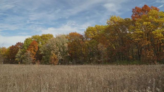 Kettle Moraine State Forest Southern Unit