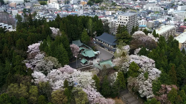 Sendai Toshogu Shrine
