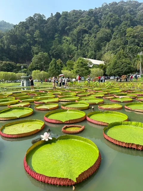 Botanical Garden Penang