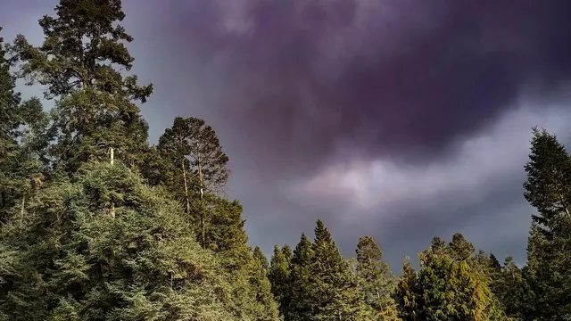 La Marquesa El Zarco