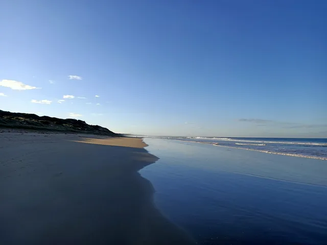 Buckley Park Foreshore Reserve