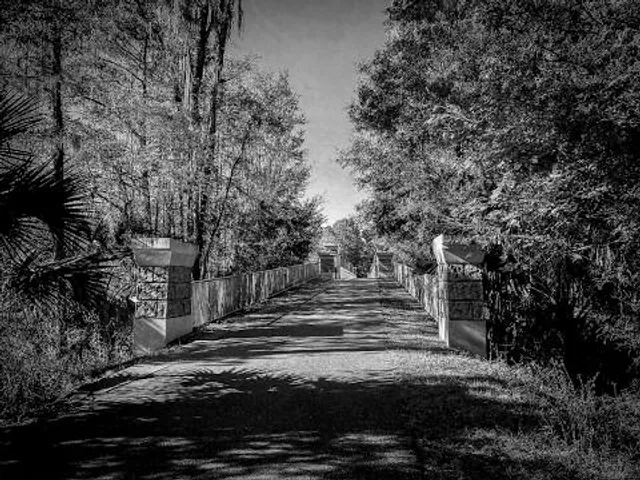 Blue Run of Dunnellon Park