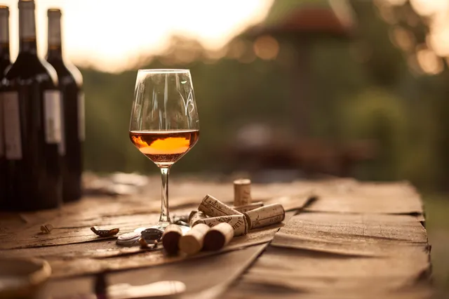 LES VIGNERONS DE BUZET