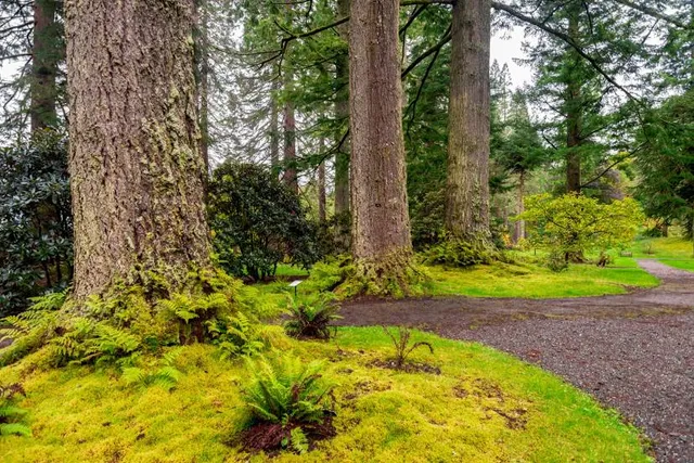 Benmore Botanic Garden