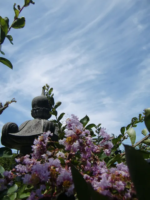 photo-1
