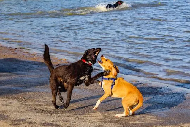 Deputy Darren Goforth Park on Horsepen Creek