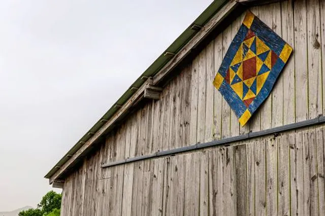 The County Cider Company - Tasting Room