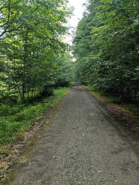 Spring Creek Township