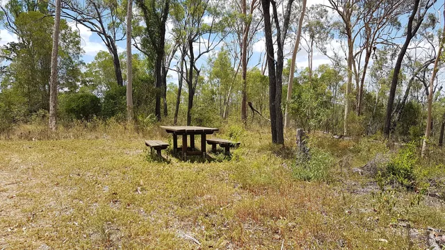 Good Night Scrub National Park