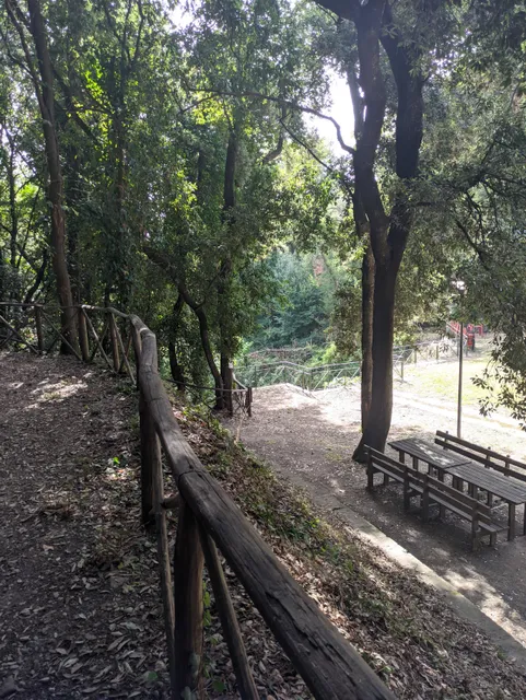 Natural Park "The Forest"