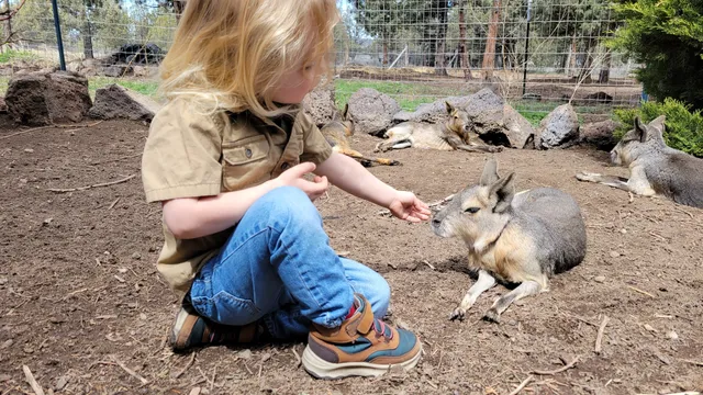 Gramma Roses Petting Zoo