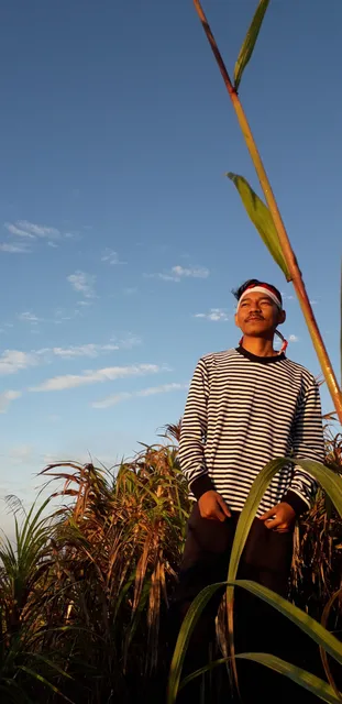 Puncak Gunung Gamalama