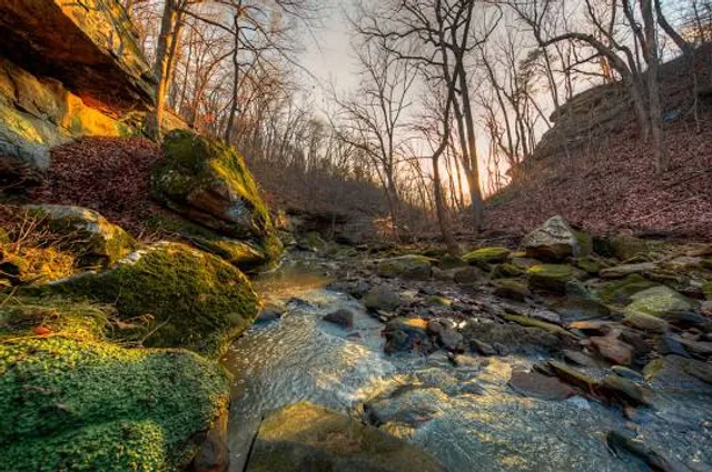 Piney Creek Ravine Nature Preserve