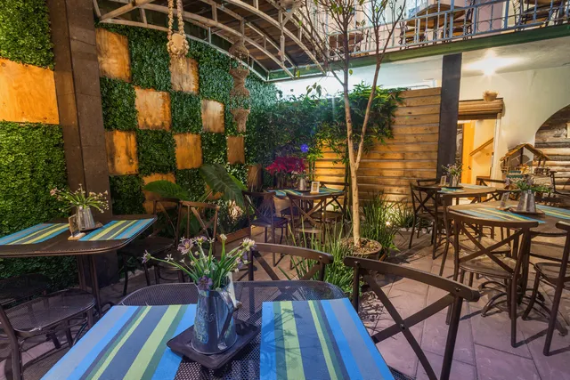 Restaurante Mandinga Terraza & Jardin