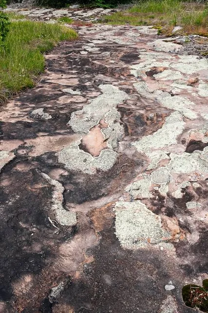 Bannock Point Petroforms