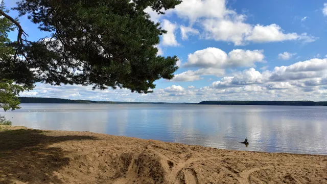 Белохолуницкое городское поселение