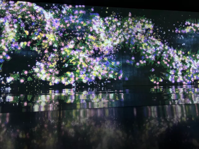 teamLab Gallery Matama Beach