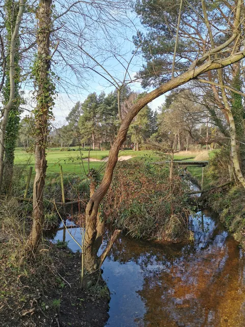 Parley Common Nature Reserve