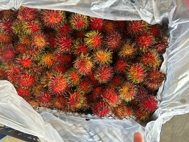 Basel's Farmers Market