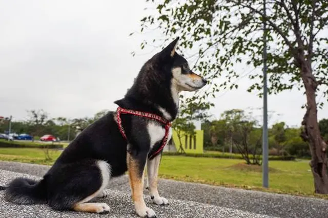 Ah-Tah-Thi-Ki Museum