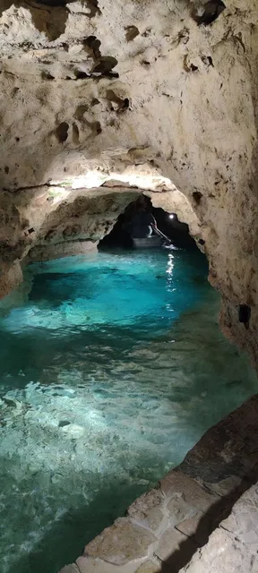 Tapolcai-tavasbarlang Látogatóközpont