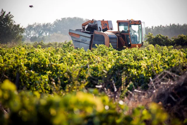 Bodegas Ruberte S.L.