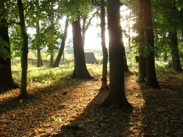 ADVENTURE PARK SPARTA