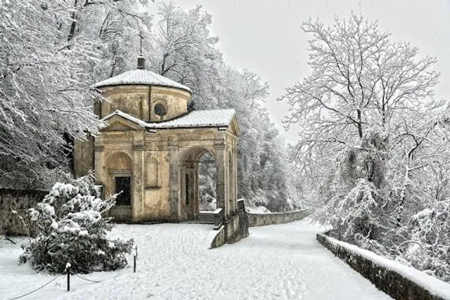 Bowood Woodland Gardens