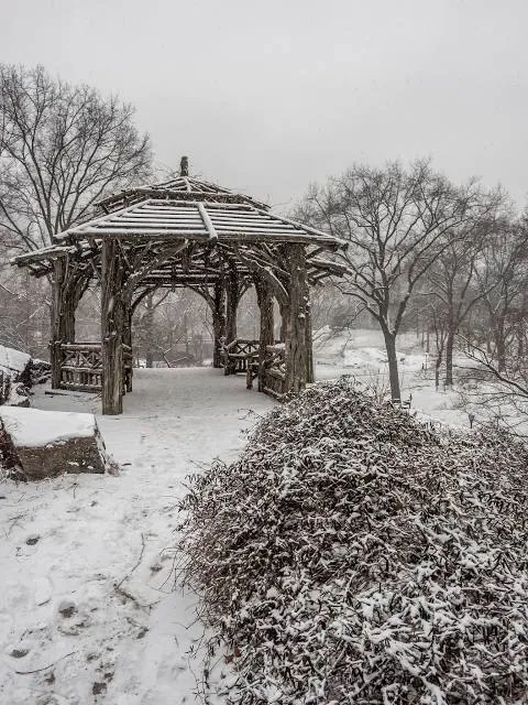 Rezerwat przyrody Lasek Miejski nad Olzą