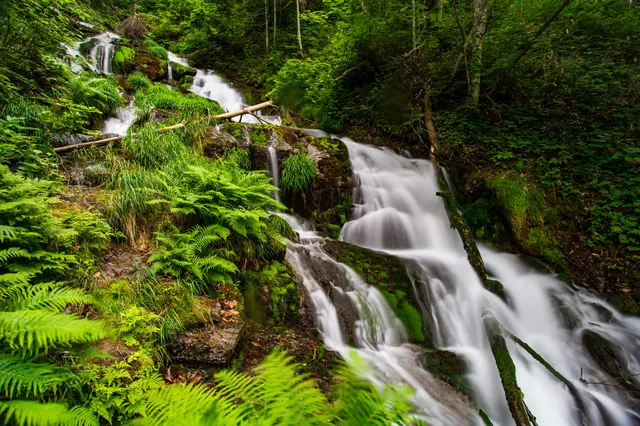 Shiroganefudono Falls