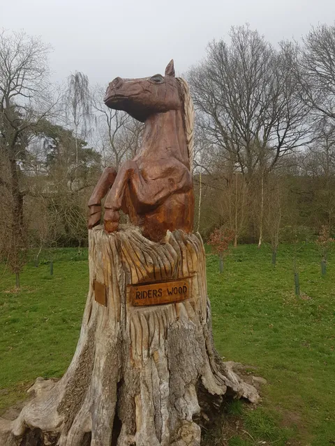 Bearsted Woodland Trust