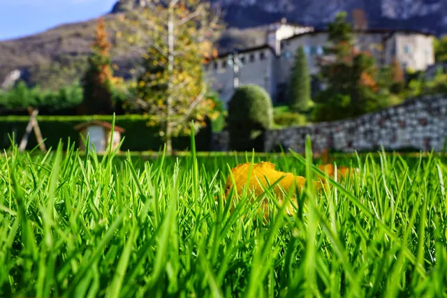 Castel Pietra - Event Location