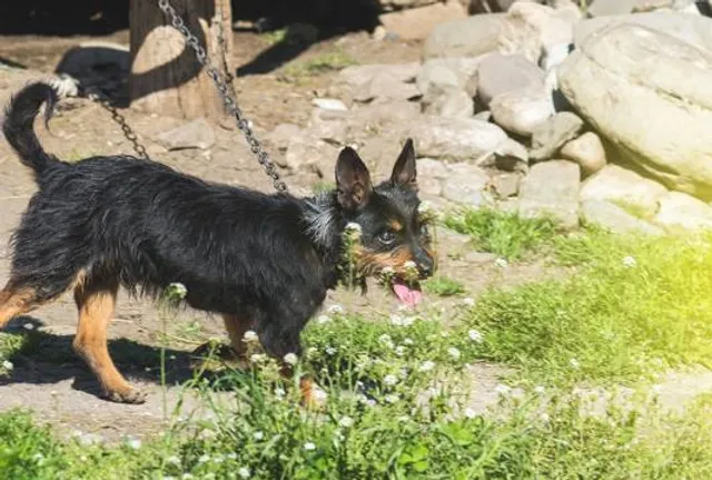 Archaeological Zone of Zaachila