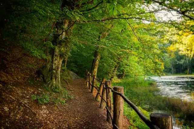 Požega-Slavonia County