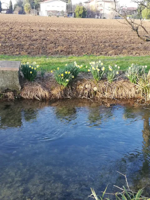 Ciclabile delle rogge