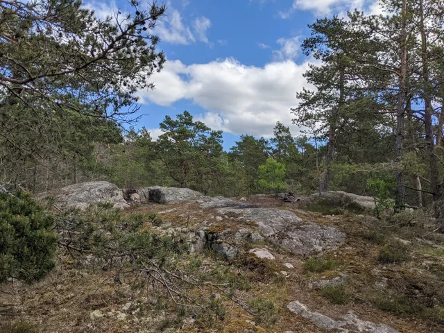 Grimsta nature reserve