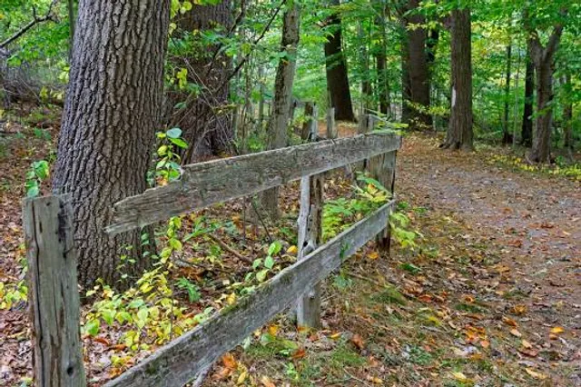 Mass Audubon's Ipswich River Wildlife Sanctuary