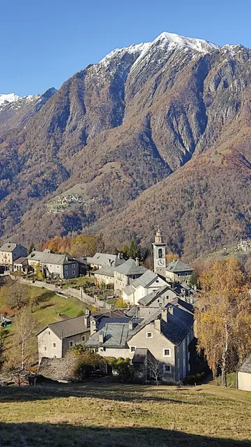 Swing the World Rasa