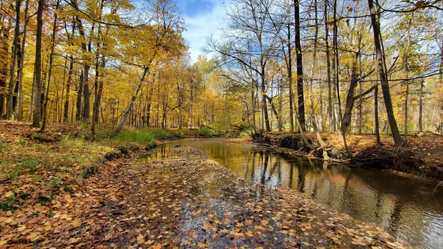 Valley Woods Nature Preserve