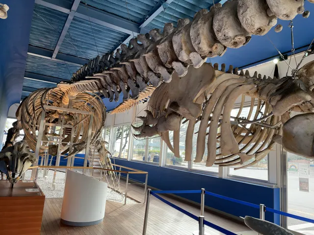 Museum of Marine Science, Tokyo University of Marine Science and Technology