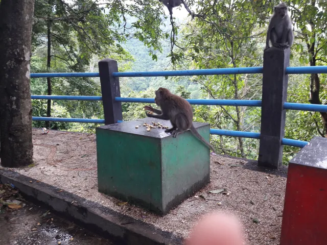 place image