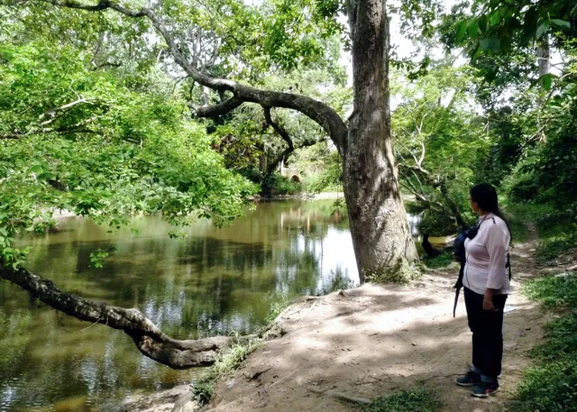 Bosque de los Caminantes